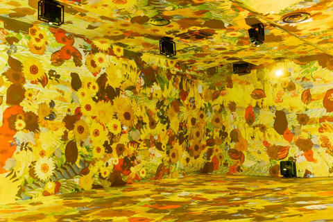 IMOM - Immersive Museum of Madeira Entry ticket Immersive Museum of Madeira