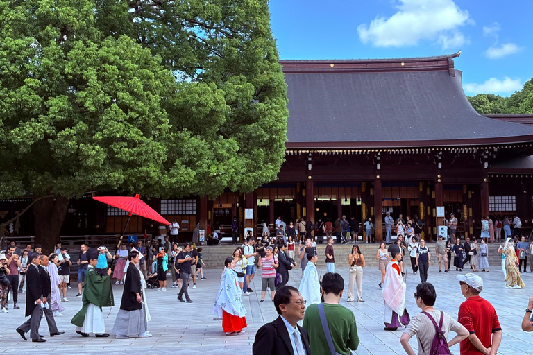 东京：本地导游带领的私人城市观光之旅豪华SUV 3人座