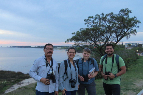 Colonia del Sacramento: Birdwatching Sightseeing Tour in the Historic District