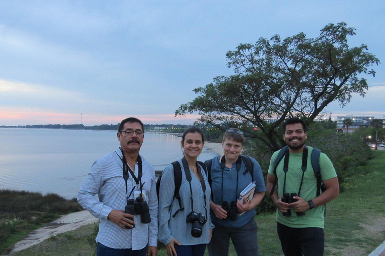 Colonia del Sacramento: Birdwatching Sightseeing Tour in the Historic District