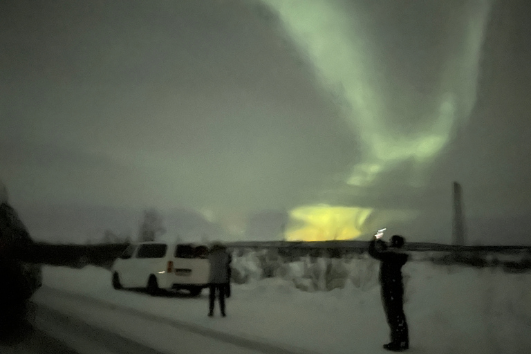 Excursión en minibús a la aurora boreal en el Parque Nacional de Abisko