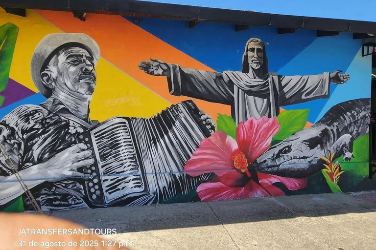 Puerto Plata: Zipline, Damajagua Falls, and City Tour