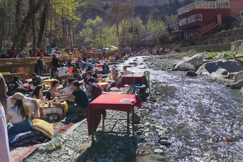 Marrakech : Private To Ourika Valley Atlas Mountains & Lunch Private Day Trip To Ourika Valley, Waterfalls With Lunch