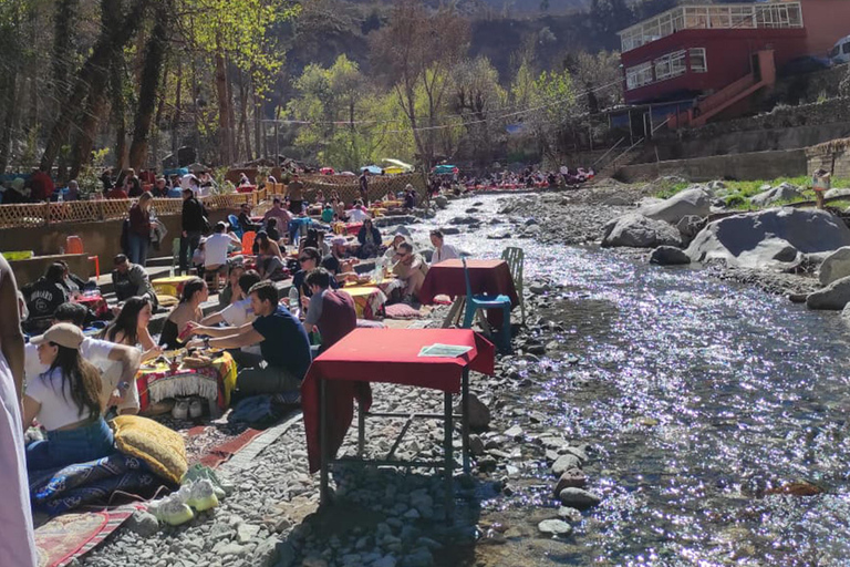 Marrakech : Private To Ourika Valley Atlas Mountains & Lunch Private Day Trip To Ourika Valley, Waterfalls With Lunch