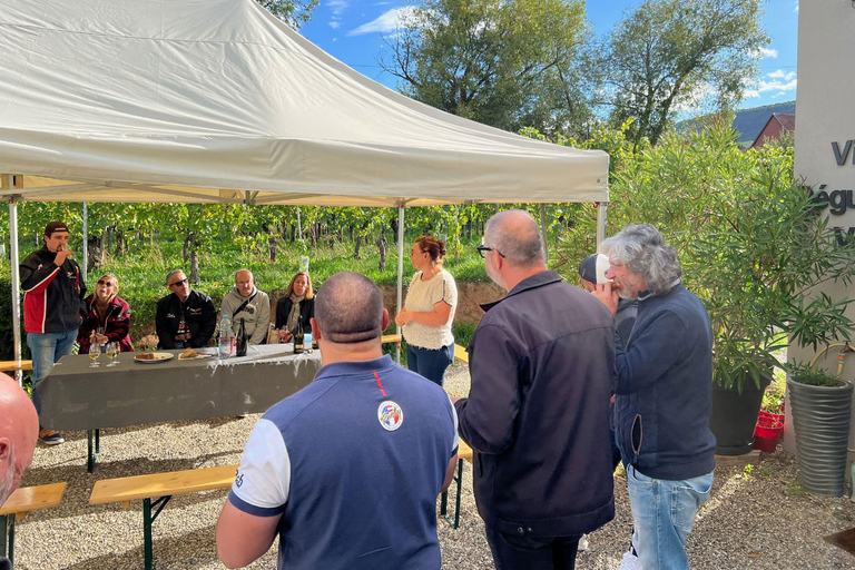 Dare to Alsace Wine with a Feminine Touch