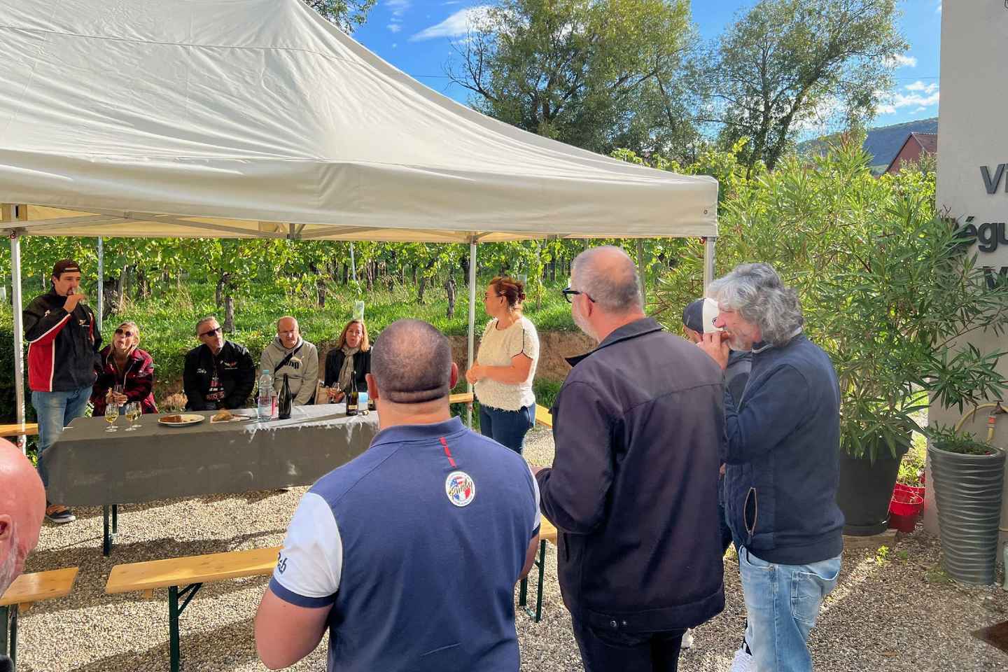 Dare to Alsace Wine with a Feminine Touch