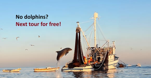 Rovinj: Sunrise Dolphins & Fishermen at Work Speedboat Tour