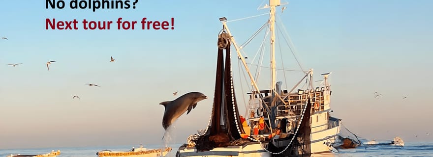 Rovinj : Excursion en bateau à moteur pour observer les dauphins au lever du soleil et les pêcheurs au travail