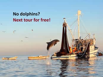 Rovigno: tour in motoscafo all'alba con delfini e pescatori al lavoro