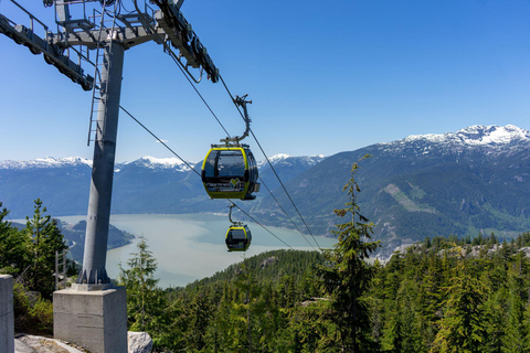 Autopista del Mar al Cielo: Whistler y la excursión en góndola del Mar al CieloWhistler y la excursión en góndola del Mar al Cielo - 2025