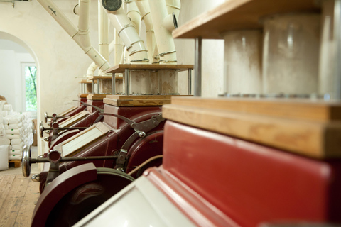 From Stuttgart: Guided tour of the Hegnach Mill