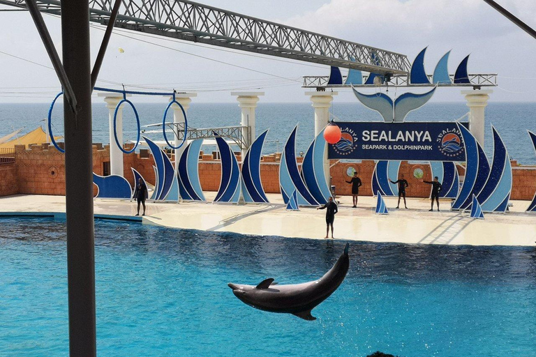 Alanya: Servicio de traslados al Parque de los Delfines desde todas las localidadesTraslado desde hoteles