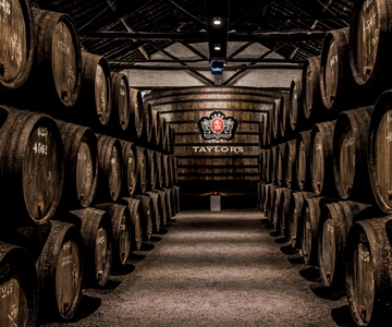 Porto: Taylor's Port Cellars & Proeverij