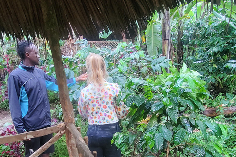 Wonderful Materuni waterfalls and Chemka hotspring Day trip