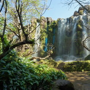 Land of Angels, Café Elephant or Temple & Sticky Waterfall & Buffet Land of Angels, Café Elephant or Temple & Sticky Waterfall & Buffet