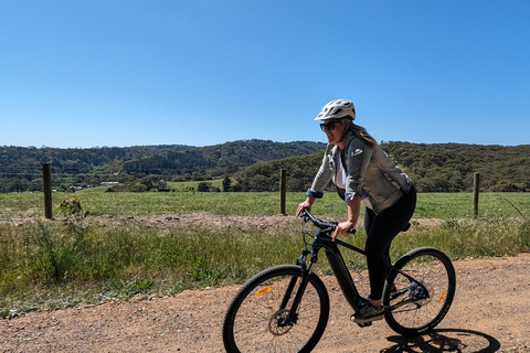 Adelaide Hills: Tour guiado de E-Bike pelos vinhos com almoço