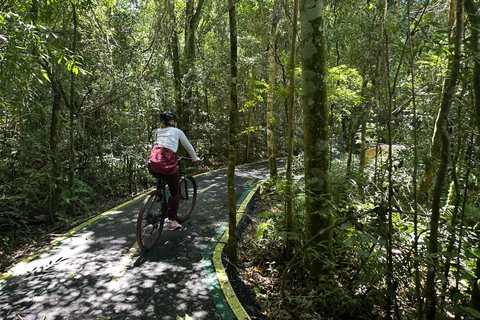 Cataratas by bike - Guided bike tour to Brazilian falls