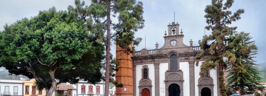 Les sommets de la Grande Canarie en minibus : Firgas, Teror, Aloe Vera tour