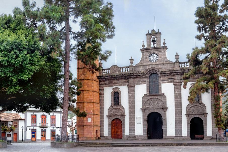 Gran Canaria Peaks in Minibus: Firgas, Teror, Aloe Vera tour Spanish - Picos de Gran Canaria Tour by Minibus