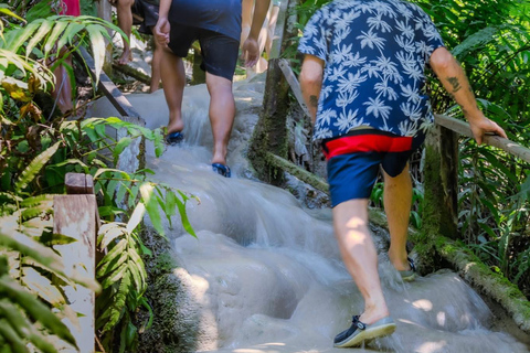 Chiang Mai: excursión de un día a la cascada Sticky y al parque Angel Waterfall.Chiang Mai: Excursión de un día a la cascada Sticky y al parque Angel Waterfall