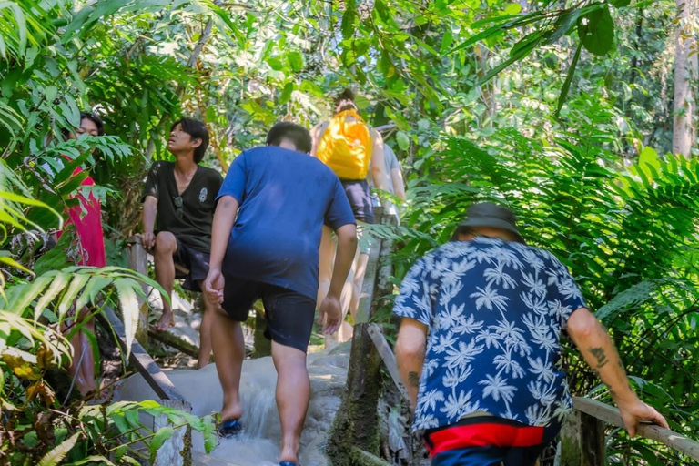 Chiang Mai: excursión de un día a la cascada Sticky y al parque Angel Waterfall.Chiang Mai: Excursión de un día a la cascada Sticky y al parque Angel Waterfall