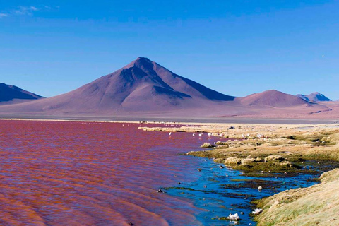 LE SALAR D&#039;UYUNI 3 NUITS 4 JOURS AVEC HOTELS