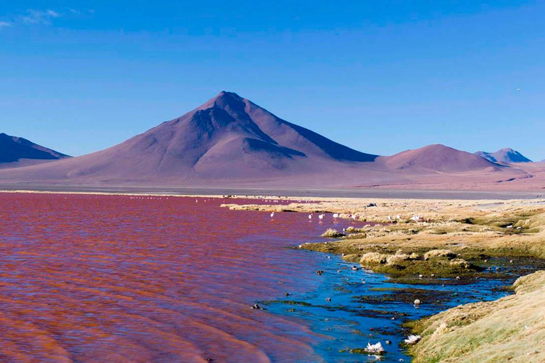 SALZSEE VON UYUNI 3 NÄCHTE 4 TAGE MIT HOTELS