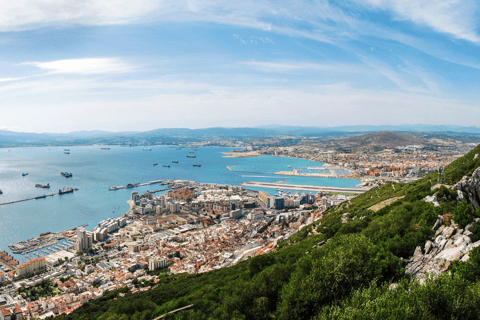 Gibraltar dolphin watching tour Gibraltar dolphin watching tour from Torremolinos Centro