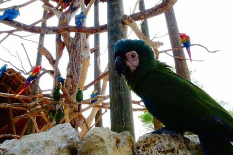 Cartagena National Aviary Private Tour