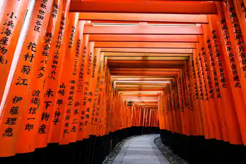 Kyoto: visita Fushimi inari, Kinkaku-ji e la foresta di bambù.