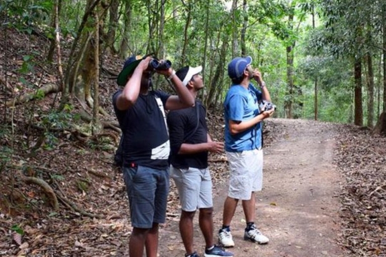 Udawatte Kele : Observation des oiseaux et randonnée dans la nature