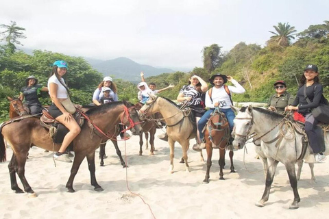 Santa Marta: Horseback riding on Los Naranjos beach Tayrona
