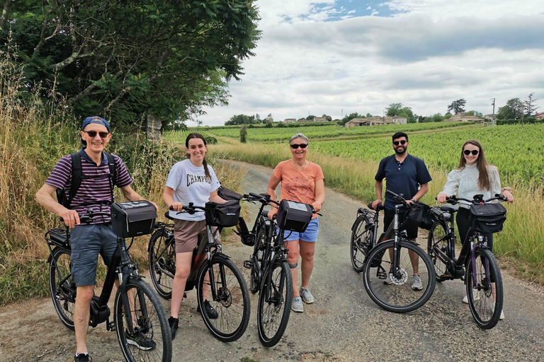 Saint Emilion Wine and Bike Tour Bordeaux: Saint-Emilion Electric Bike Tour with Picnic Lunch
