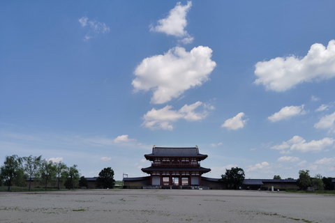 Nara: Oud keizerlijk paleis, Heijokyu - Rondleiding 2H