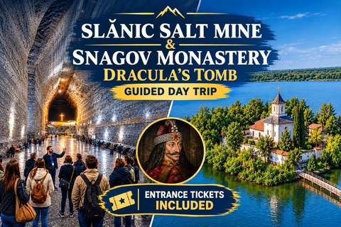 Bucharest: Salt Mine & Dracula’s Tomb with Guide & Tickets Private Tour with Hotel Pick-up & Entrance Tickets Included