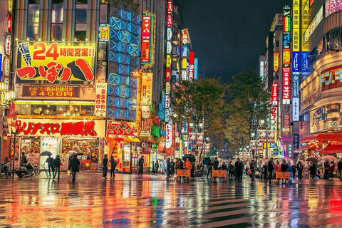 Tour privado de la ciudad de Tokio con conductor de habla inglesa