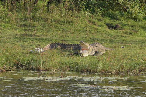 Från Galle / Mirissa / Hikkaduwa - Udawalawa Safari Tour