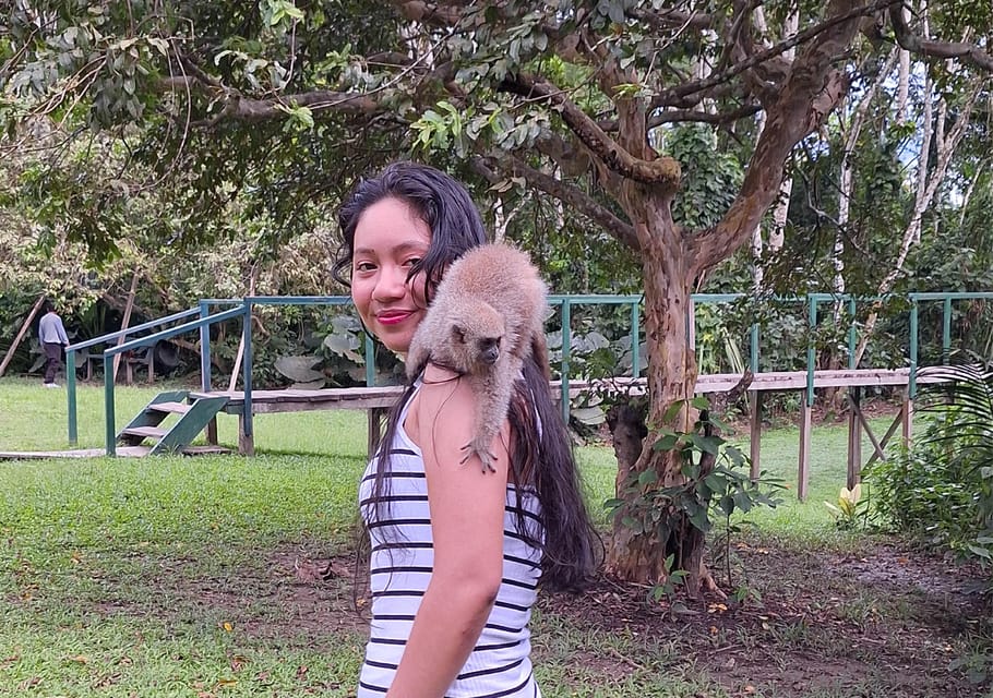 Iquitos Full Day Visit to the authentic Monkey Island GetYourGuide