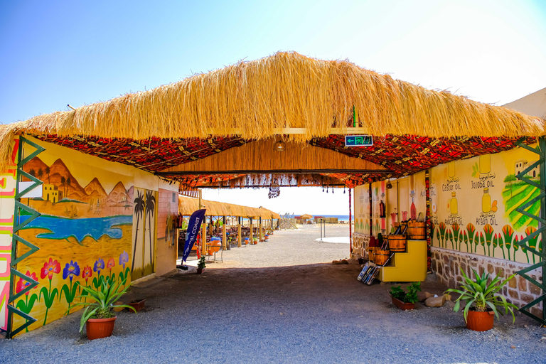 Marsa Alam: Stargazing on the Beach with 4-Ride Safari