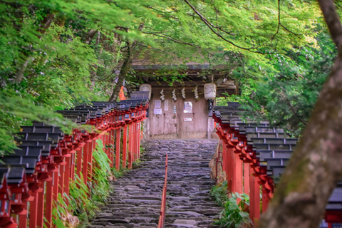 Kyoto & Nara: Private Guided Tour on Green Licensed Alphard