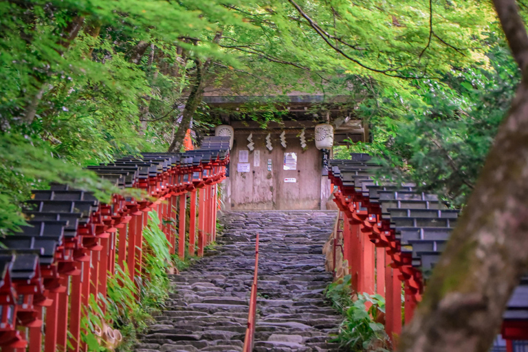 Kyoto & Nara: Private Guided Tour on Green Licensed Alphard