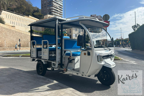 TUK TUK MALAGA TOUR TUK TUK MALAGA TOUR 1,5H