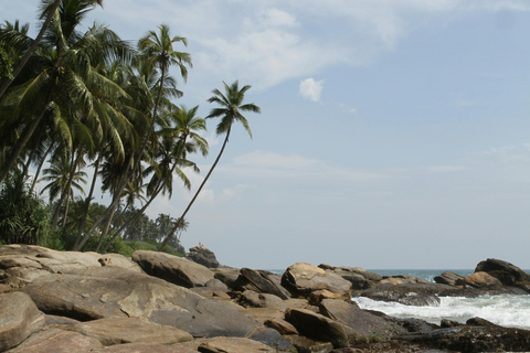 De Colombo: Excursão de 10 dias ao Sri Lanka com guia e hotel