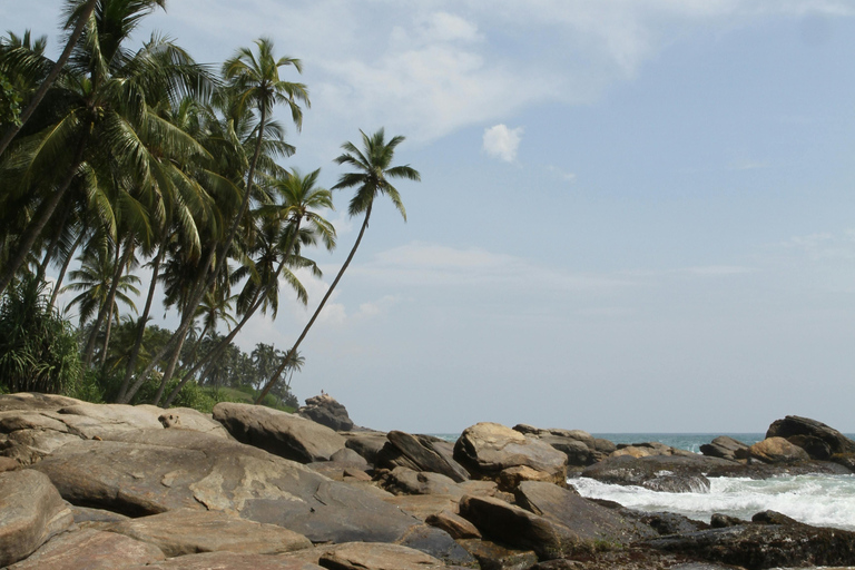 De Colombo: Excursão de 10 dias ao Sri Lanka com guia e hotel