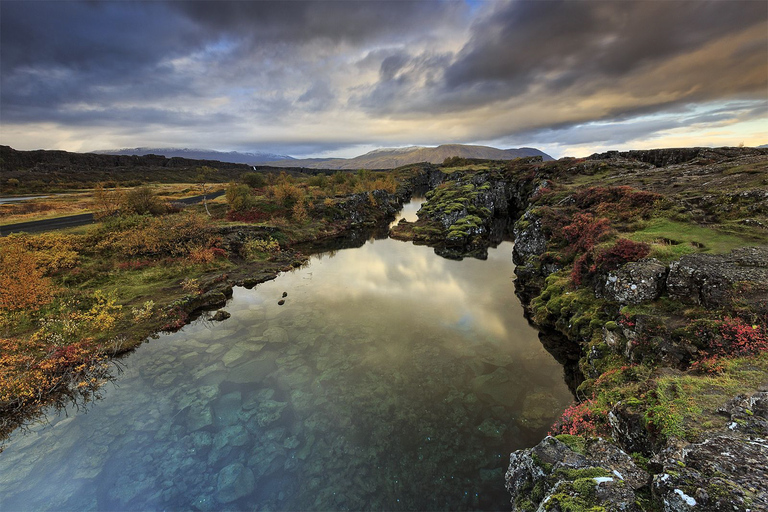 De Reykjavík: visite du Cercle d'or et de la ferme laitière