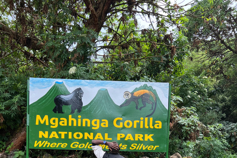 8-Day Rwanda, Uganda & Congo (DRC) Gorilla Trekking Trip