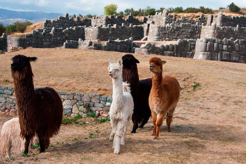 Tour of Písac, Sacsayhuaman, Q'enqo and Tambomachay