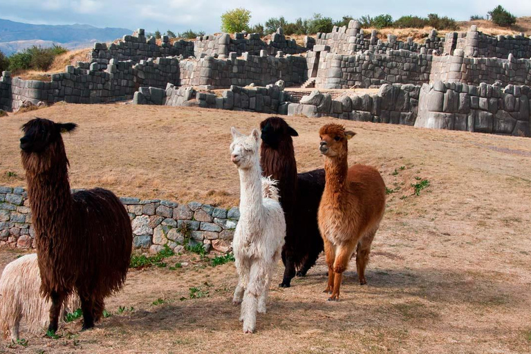 Tour of Písac, Sacsayhuaman, Q'enqo and Tambomachay