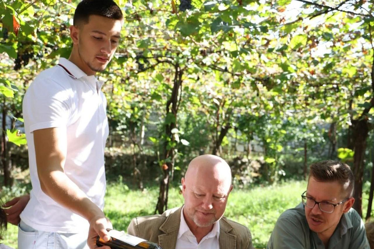 Depuis Tirana : Berat, patrimoine de l&#039;UNESCO, avec dégustation de vin