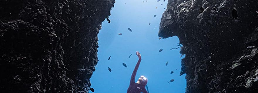 Panglao : Plongée en apnée sur le récif de Napaling et les sardines